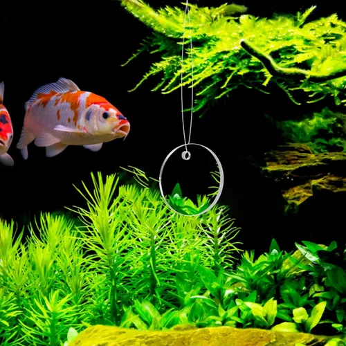 Miniatura 9 de POPETPOP Espejo de entrenamiento de peces Betta de 1.96 pulgadas, espejo de acuario acrílico flotante para juguete de ejercicio Betta adecuado