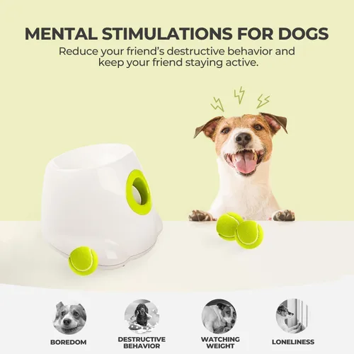 Miniatura 5 de ALL FOR PAWS Lanzador automático de bolas para perros, máquina interactiva para mascotas, lanzador de bolas para interiores, 3 bolas incluidas