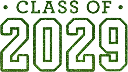 Miniatura 24 de Class of 2029 Iron On Decal, Senior Class Shirt Patch, Heat Transfer, HTV Graphic Tshirt Sticker, DIY Crafts, Pick Size Color, Iron-On Almost Old