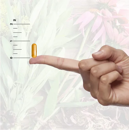 Miniatura 6 de Nature's Answer Quercetin Blend 60 cápsulas de apoyo respiratorio* Apoyo inmunológico* Sin gluten Kosher Vegetariano Vegano Sin OMG