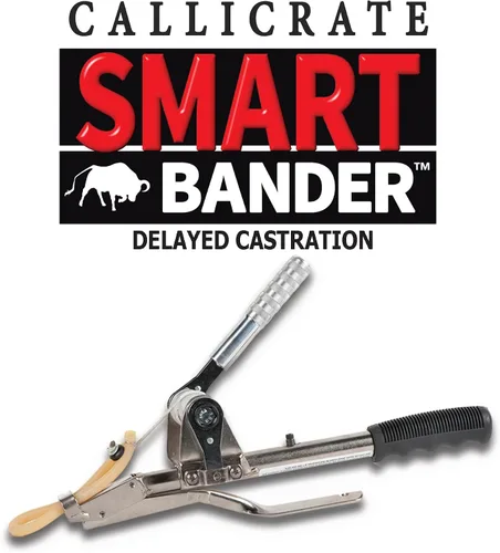 Miniatura 2 de ises Callicrate Smart Bander