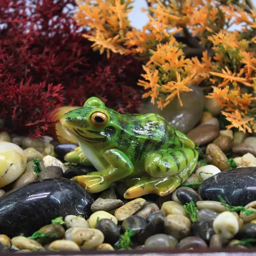 Miniatura 2 de 2 figuras de rana en miniatura, decoración de pecera, jardín de hadas, tortuga, paisaje, decoración interior y exterior