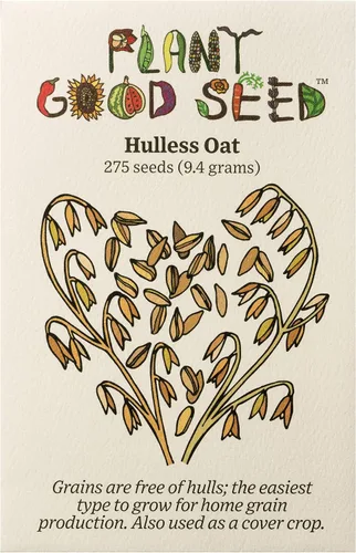 Miniatura 7 de Plant Good Seed Semillas orgánicas de trigo de primavera de águila negra, paquete de 175, semillas tradicionales para plantar granos, verduras