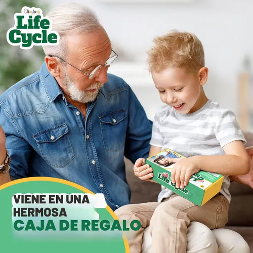 Miniatura 6 de Kit de animales de ciclo de vida, juguete de ciencia Montessori con juego de 24 piezas, mariposa, rana, pollo, abeja, mariquita y tortuga, regalo