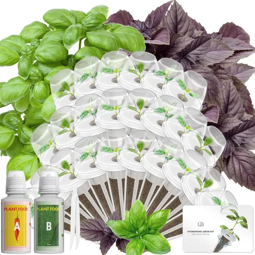Miniatura 15 de Kit de cápsulas de semillas de hierbas gourmet compatible con AeroGarden, idoo, Ahopegarden, Gardencube con albahaca, perejil, tomillo, menta