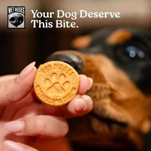 Miniatura 16 de Wet Noses Golosinas orgánicas crujientes para perros sin granos, totalmente naturales, de grado humano, sin OMG, entrenamiento saludable