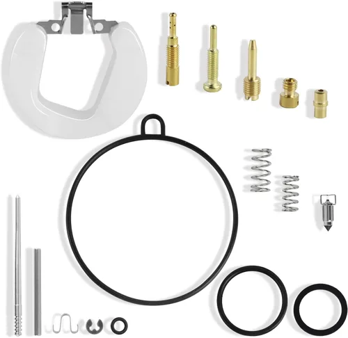 FLYPIG PZ19 - Kit de reparación de carburador de 0.748 in para motor de 110 cc, 70 cc, 90 cc, 50 cc, Taotao, motocicleta, ATV, Quad Dirt Bike Go Kart