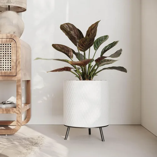 Miniatura 5 de EverNest Claire - Maceta blanca neutra de panal con soporte Nyra, macetas de interior, SelectBase, estilo bohemio moderno de mediados de siglo