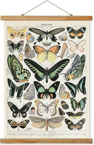 Miniatura 20 de Ovfovy Póster vintage de hongos con marco de madera, estilo retro de pintura botánica de pared, póster de tabla de referencia ilustrativa para sala