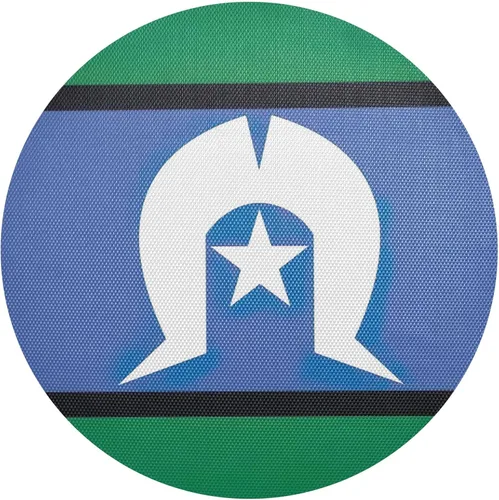 Miniatura 28 de Agender Pride Flag Round Placemats 15 Inch Seasonal Table Mats Decorative Table Mats for Home Kitchen Holiday Decoration