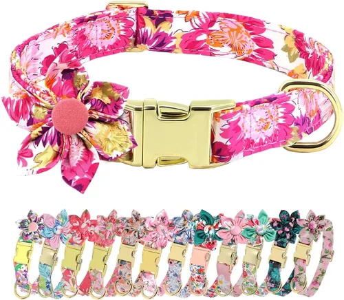 Miniatura 19 de Collares de perro femeninos Beirui con patrones florales vibrantes, collar de perro hembra con flor para caminar, collar ajustable duradero