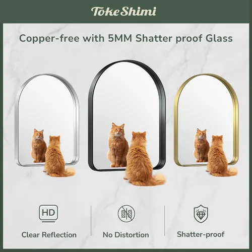 Miniatura 99 de TokeShimi - Espejo para pared de baño, espejo de tocador con marco de metal de aleación de aluminio mate cepillado e inoxidable, decoración rústica