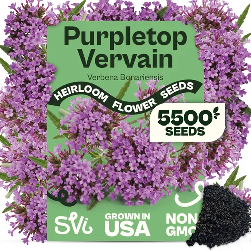 Miniatura 13 de Queen Anne 's Lace- 200 semillas – 50% de descuento venta
