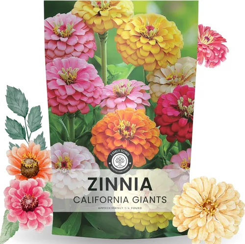 Miniatura 9 de Zinnia California Giants - Sobre grande de 2,500 mg - 250 semillas de flores para plantar - Zinnia elegans