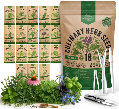 Miniatura 9 de Organo Republic Paquete variado de 12 semillas de hierbas culinarias - 7,355+ semillas criollas, sin transgénicos, para jardinería en interiores