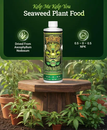 Miniatura 2 de FoxFarm Bushdoctor Kelp Me Kelp You Fertilizante, extracto líquido de algas marinas para plantas, verduras y flores, promueve el crecimiento