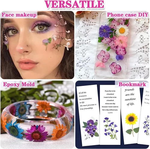 Miniatura 6 de Más de 170 pétalos de hojas de flores secas prensadas para manualidades, hermosas flores prensadas margaritas para joyas de resina, flores Color-a
