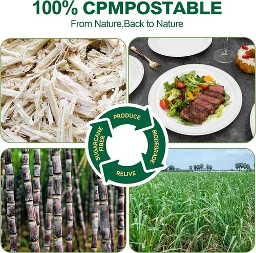 Miniatura 6 de DaYammi Platos de papel 100 % compostables de 9 pulgadas, paquete de 60 platos de papel resistentes a granel, bagazo biodegradable, plato desechable