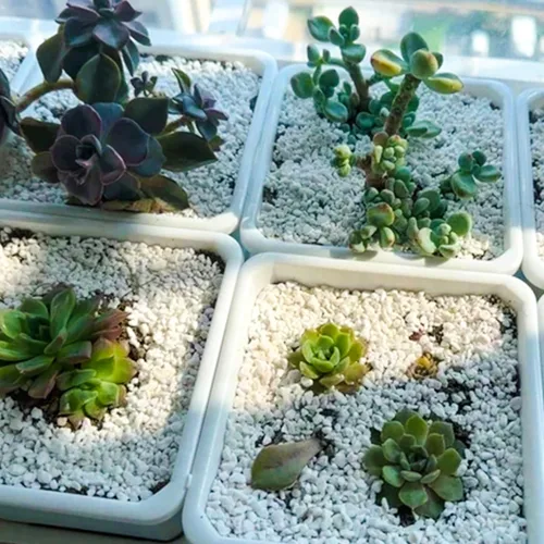 Miniatura 5 de Perlita de 9 cuartos para suelo vegetal: enmienda para tierra de macetas, mejora el drenaje y la aireación del suelo, mejor para el crecimiento