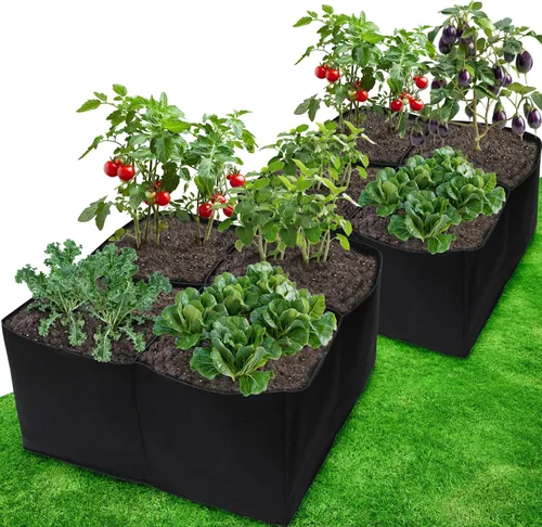Gardzen Paquete de 2 camas de jardín elevadas de tela, 2 x 2 x 1 pies, 4 rejillas para jardinería de pies cuadrados, caja de plantación para