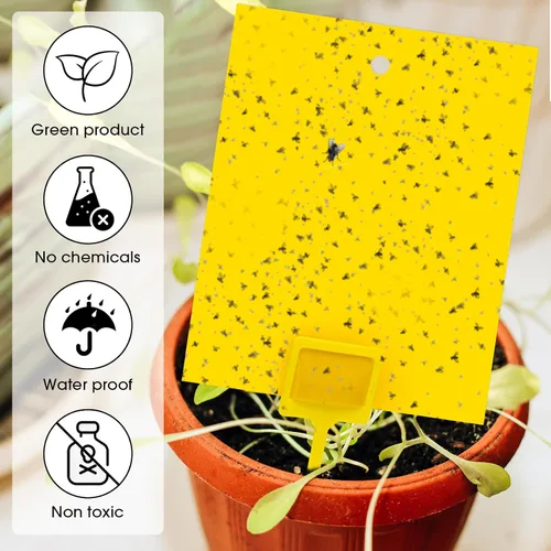 Miniatura 3 de Qualirey 200 trampas adhesivas amarillas de 7.87 x 9.84 pulgadas para mosquitos de plantas, trampas adhesivas de doble cara para moscas de la fruta