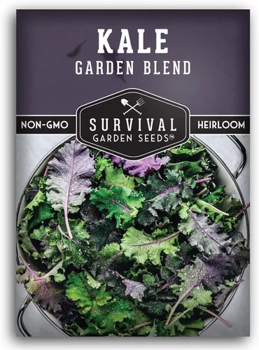 Baby Kale Seeds - Mezcla de mezcla de jardín de col rizada y plana de hoja rizada - Paquete variado de reliquia para verduras de corte y regreso -