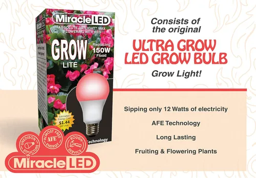 Miniatura 3 de Craft - Bombilla LED de espectro rojo con flor de fuego, reemplazo de 150 W