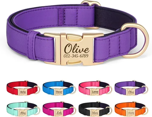 Miniatura 15 de Collar para perro personalizado PET ARTIST, collar para perro rojo personalizado con etiqueta de identificación grabada silenciosa, nylon ligero