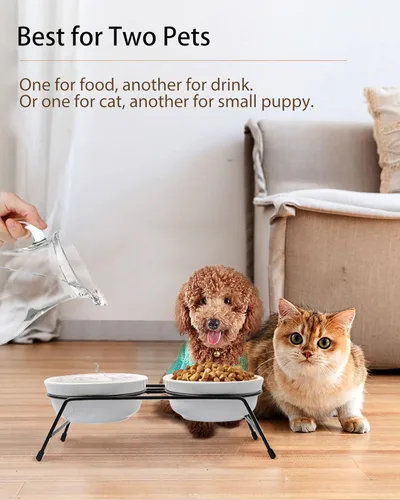 Miniatura 5 de Cuencos elevados antivómitos para gatos, 2 cuencos de cerámica para alimentos y agua para gatos de 13 onzas con soporte de acero inoxidable blanco