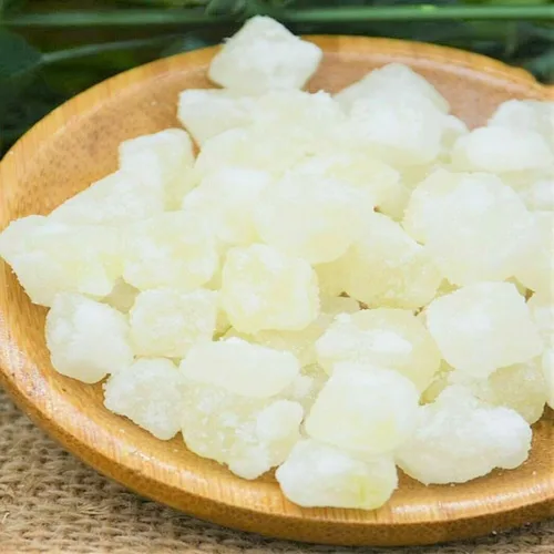 Miniatura 5 de TomorrowSeeds - Semillas gigantes de melón de invierno - Más de 20 unidades - para plantar 2026 calabaza de cera de ceniza piel blanca chino Dong