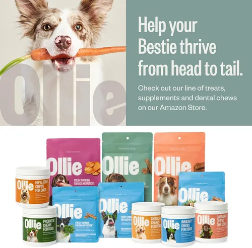 Miniatura 6 de Ollie Golosinas de Cecina de Pollo y Manzana para Perros, Paquete de 3 de 5 oz, Completamente Natural, Bocadillos Saludables, Hechos con Carne Real