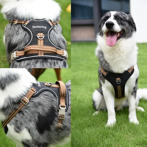 Miniatura 7 de Arnés negro para perro sin tirones con 2 clips para correa, acolchado suave ajustable, chaleco reflectante Oxford sin estrangulamiento para mascotas