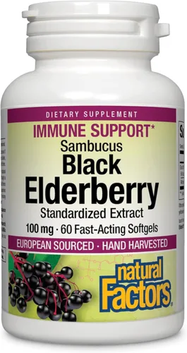 Natural Factors Sambucus Extracto estandarizado de saúco negro, apoya el sistema inmunológico y la salud respiratoria, saúco negro europeo de