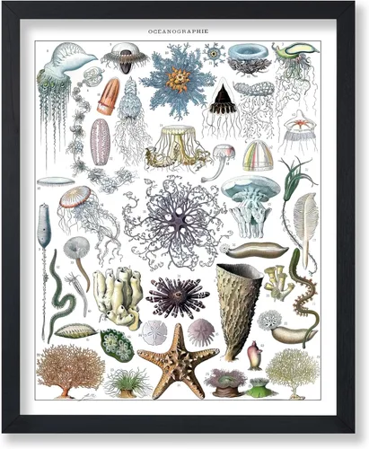 Miniatura 69 de Poster Master Póster vintage de miel, impresión retro de La Vie De L'Abeille, arte de panal de abeja, arte de pared de abeja, regalo para hombres