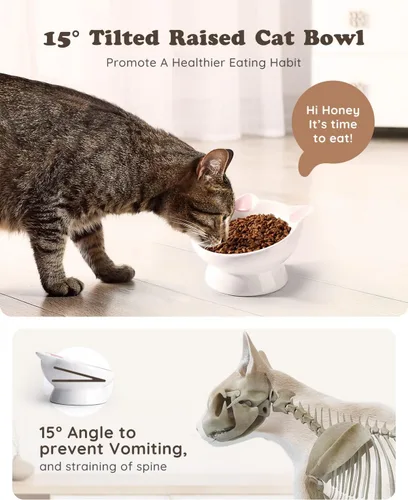 Miniatura 3 de 2 piezas de tazón de comida para gatos elevado de cerámica, tazones de comida inclinados 15°, protegen la columna vertebral del gato, antivómito