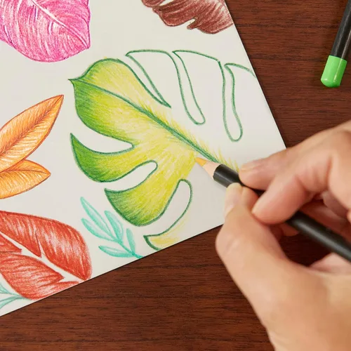 Miniatura 5 de BIC Intensity Lápices de colores en estuche de cartón de alta calidad apto para adultos, varios colores, paquete de 24