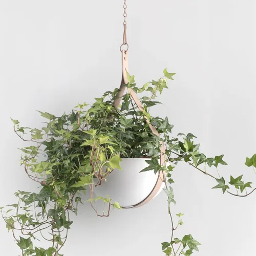 Hajia Maceta colgante en forma de gota de agua, colgador de plantas de metal con maceta no desmontable, soporte para plantas colgantes para