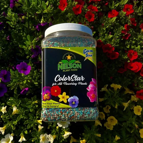 Miniatura 2 de Nelson Plant Food s ColorStar Fertilizante para plantas de interior y exterior – Alimento vegetal denso en nutrientes para aumentar
