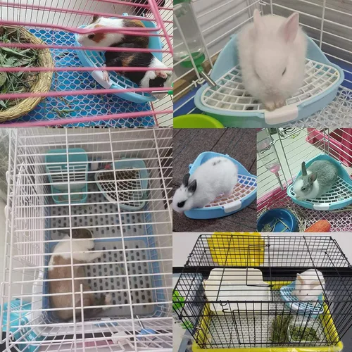 Miniatura 6 de Hamiledyi Caja de arena pequeña para conejo para jaula triangular, entrenador de orinal de esquina, conejo, inodoro, bandeja de plástico para Azul