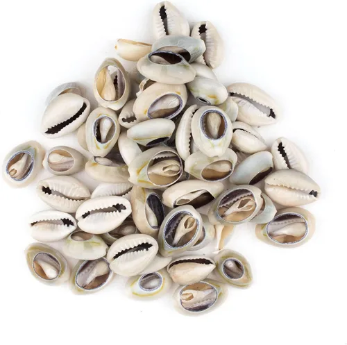 The Bead Chest Cowrie Shells (mediano) – Aproximadamente 50 piezas – Blanco, Natural – Fabricación de joyas, proyectos de manualidades, uso