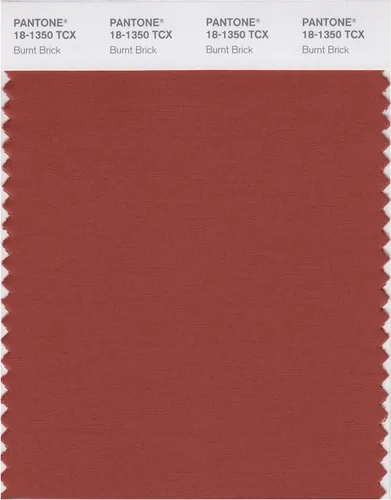 Miniatura 8 de PANTONE Tarjeta de muestra de color inteligente 18-1314X, bellota