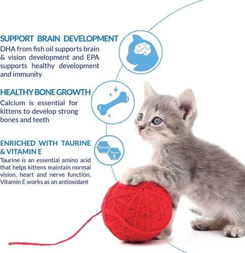 Miniatura 4 de INABA Churu para gatitos, golosinas de puré cremoso para gatos que se pueden lamer con DHA, EPA, vitamina E y taurina, 0.5 onzas cada una, 48 tubos