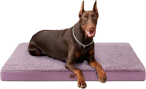 Miniatura 60 de EHEYCIGA Cama ortopédica de espuma para perros grandes, 35 pulgadas de largo x 23 pulgadas de ancho x 3.5 pulgadas de alto, gris claro