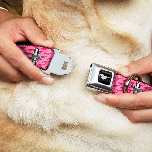 Miniatura 8 de Collar para perro FM - Mustang w/Barras w/Texto (W30628) - Ancho Pequeño