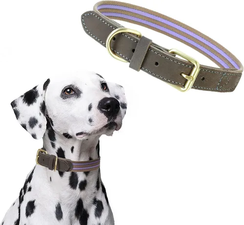 Miniatura 20 de Mile High Life Collares para perros, collares de algodón suave con hebilla de metal pesado, collar clásico para cachorros con puntas de cuero