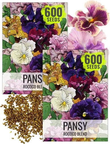 Miniatura 12 de Seed Needs Johnny Jump Up Semillas para plantar violas, reliquia y flores polinizadas abiertas para plantar un jardín de mariposas lleno de flores