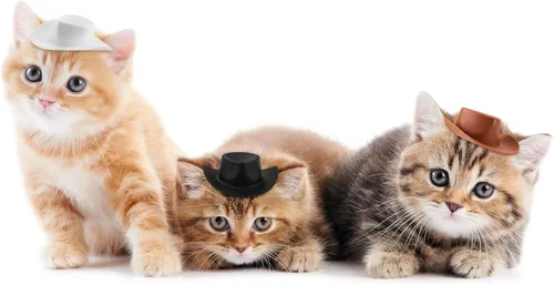 Miniatura 3 de Skylety 20 piezas de sombreros de vaquero y vaquera de plástico en miniatura occidental pequeños para muñecas, lindos sombreros de muñeca