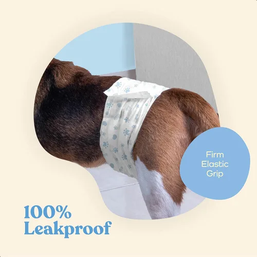Miniatura 4 de Pañales cómodos para perros machos, paquete de 50 envolturas desechables súper absorbentes para perros machos, tecnología FlashDry Gel con indicador