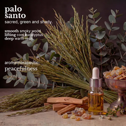 Miniatura 6 de Red Flower Palo Santo - Jabón hidratante para el cabello, 10.2 onzas líquidas