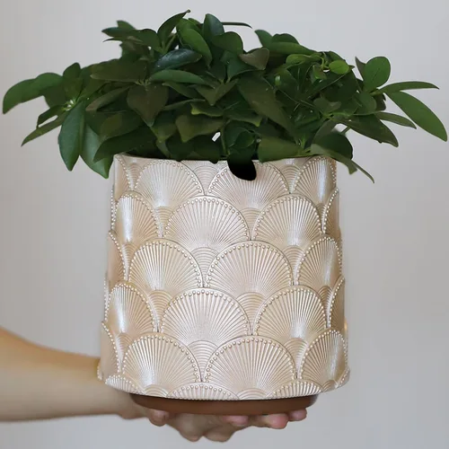 GUGUGO Maceta de Escamas Beige Perla, Maceta de Plantas Única y Bonita con Drenaje, Macetas Pequeñas Eclécticas y Coloridas para Flores para Plantas